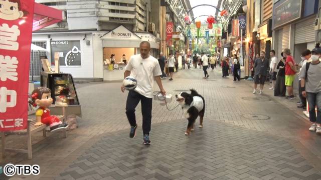 Snow Man・佐久間大介が、芸能界No.1の猫マスターを目指して動物専門学校に潜入！