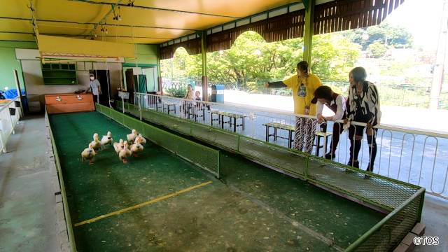 ぱーてぃーちゃんが“何かしらの大使”を目指して信子の地元・大分県をPR