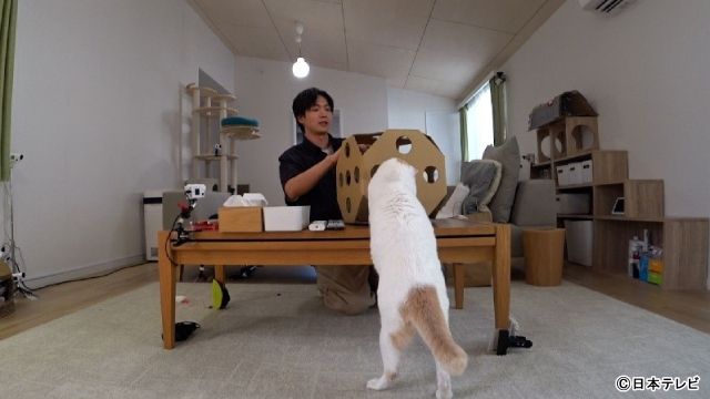 「嗚呼!!みんなの動物園」松下洸平がサンシャイン池崎宅で猫相手のスゴ技を連発！