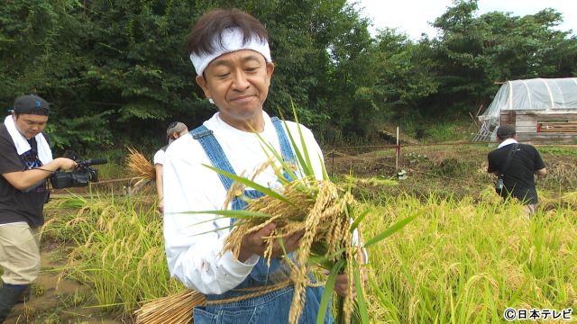 「ザ！鉄腕！DASH!!」TOKIO＆森本慎太郎＆藤原丈一郎がDASH村で大収穫祭！