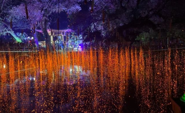 韓国の幻想的な火祭り「咸安（ハマン）落火ノリ」に酔いしれてヒーリング体験