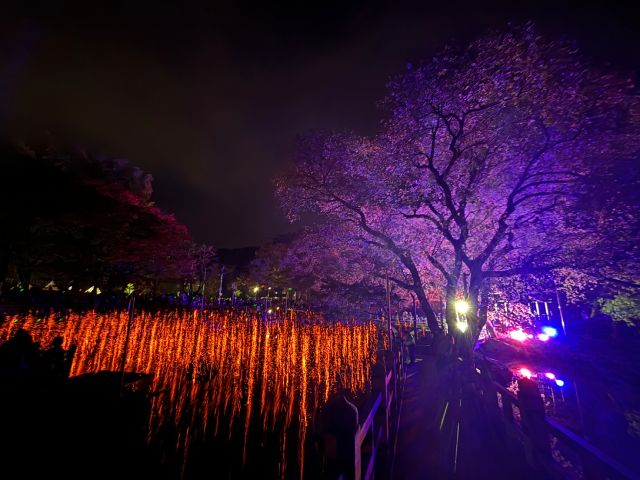 韓国の幻想的な火祭り「咸安（ハマン）落火ノリ」に酔いしれてヒーリング体験