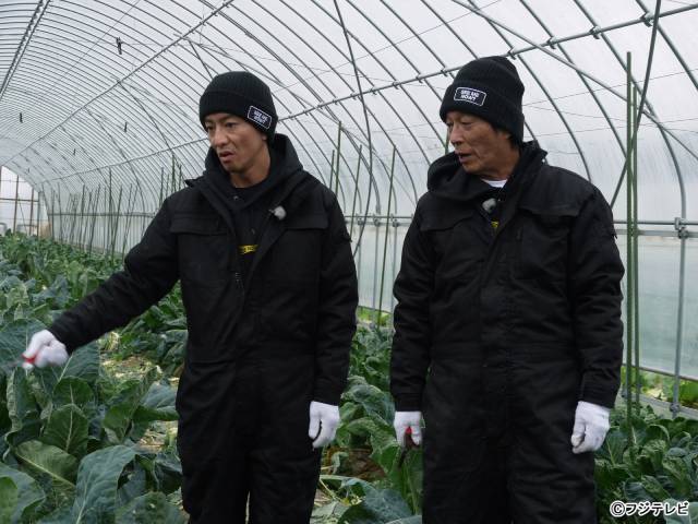 明石家さんま＆木村拓哉「さんタク」石川県・能登の被災地で炊き出しを実施！