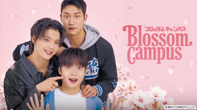 韓国BLドラマ「Gray shelter ～灰色の気流～」と「Blossom Campus」が配信