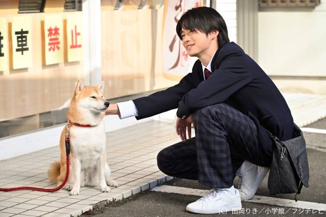 安田顕が柴犬・ポン太の声を担当！「今日のさんぽんた」がFODで配信決定