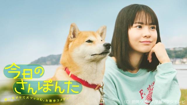 安田顕が柴犬・ポン太の声を担当！「今日のさんぽんた」がFODで配信決定