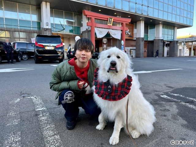 「笑コラ」増田貴久が後輩・松村北斗のロケ超えを狙うも…超能力犬にスルーされ大苦戦!?