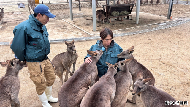 アンタッチャブルMC「動物さまの言うとおり」第5弾。馬の驚くべき能力など、新常識に迫る