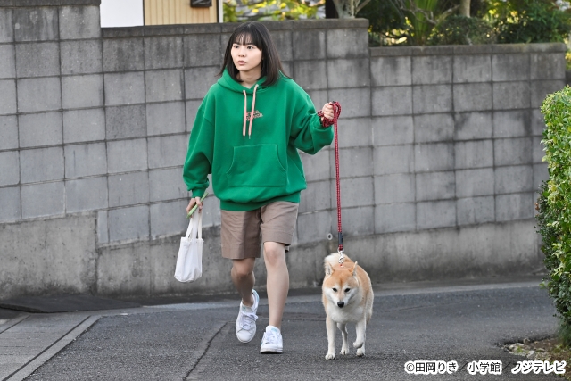 安田顕×新谷ゆづみのお散歩コメディー「今日のさんぽんた」が地上波での放送開始